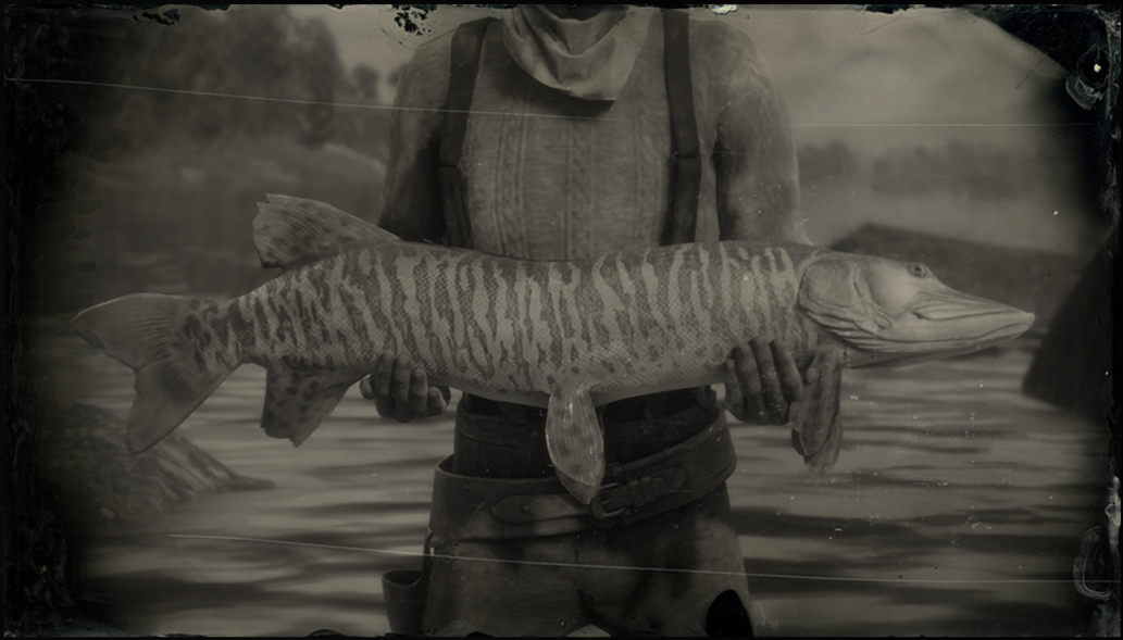 Legendary Muskie, Red Dead Wiki