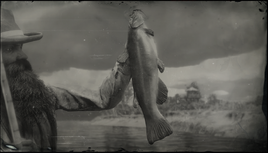 RDR2 Portrait Legendary Bullhead Catfish
