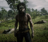 Night Folk member 12.jpg (278 KB)