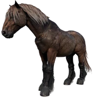 Bill's Horse, Brown Jack