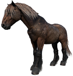 Ardennes  RDR2 Horse Breeds Coats, Locations & Stats