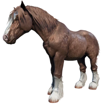 Breton | Red Dead Wiki | Fandom