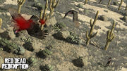 Marston shooting and killing a flying vulture.