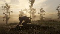 Arthur Morgan skinning an alligator.