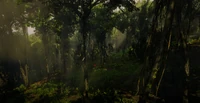 Jungles in Guarma 4.png (3.27 MB) Jungles in Guarma 4