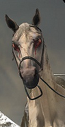 PestilenceHorseHeadshot