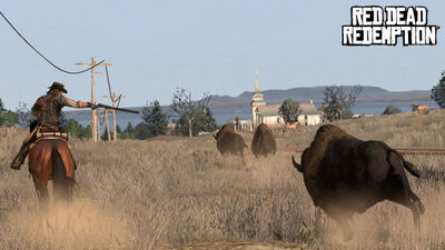 Buffalo.jpg