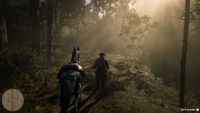 Arthur leading his horse on a trail going through a forest