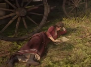 RDR2 MaryBeth Book CP