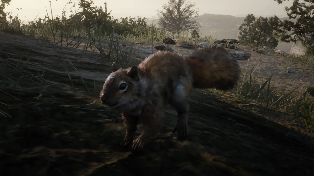 Squirrel | Red Dead Wiki | Fandom