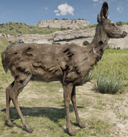 Poisoned Deer that appears near Annesburg