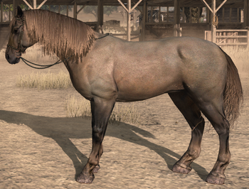 Ardennais Horse