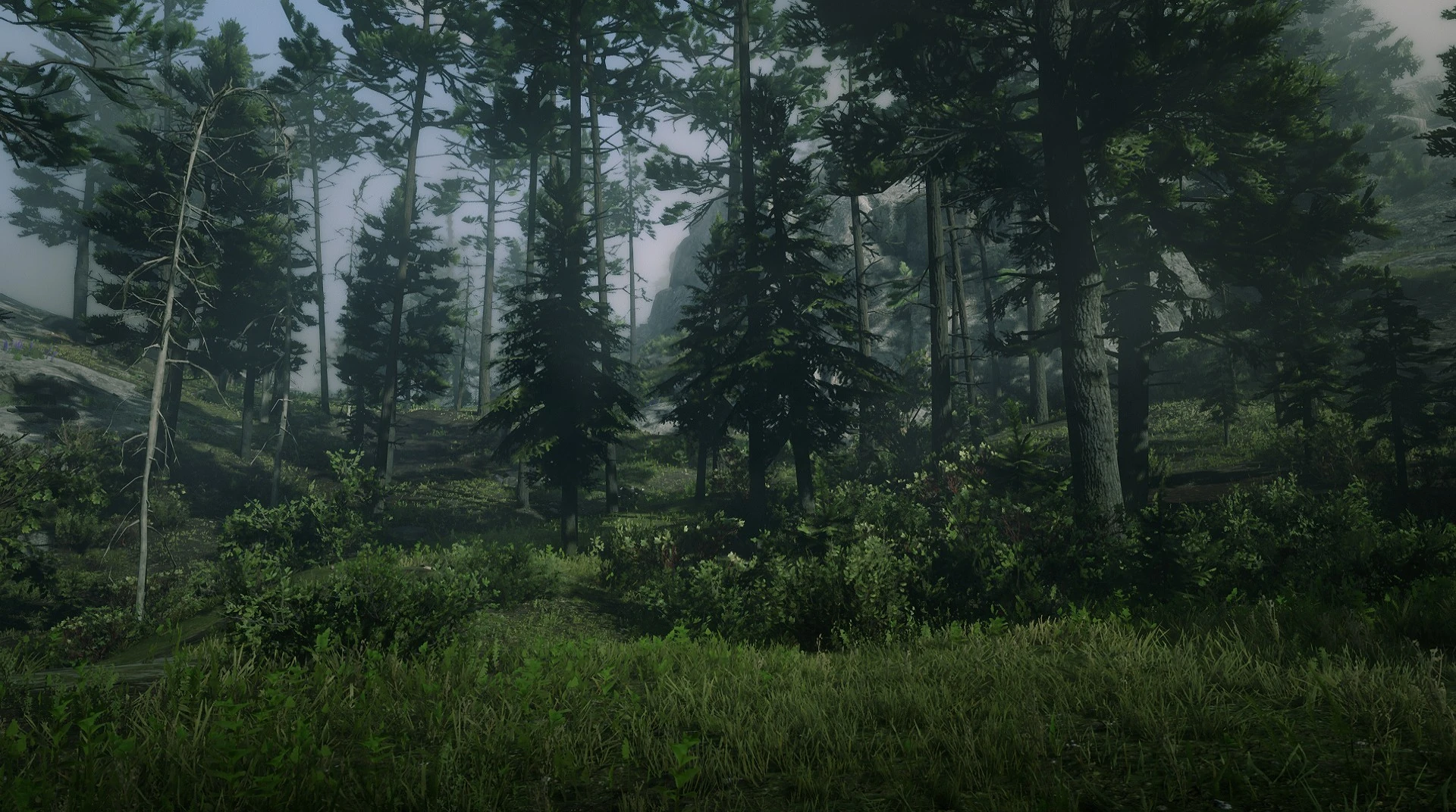 Black Bone Forest Red Dead Wiki Fandom