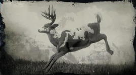 Legendarybuck