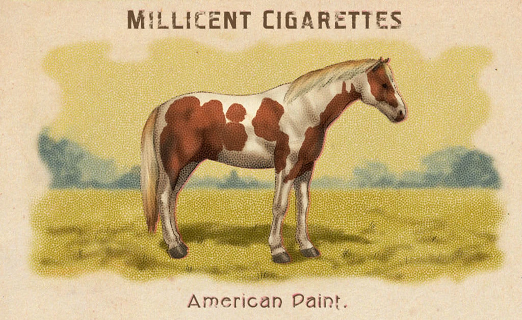 how harmful is 2 cigarettes a day Mean number of cigarettes smoked per day among current smokers by