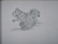 Arthur's drawing of a Black Squirrel
