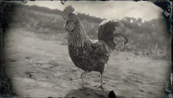 RoosterRDR2