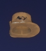 Infantry Hardee Hat.