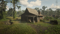 The shack in the Bayou