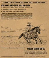 RDO Catalog Page