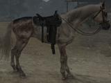 Pestilence (Horse)