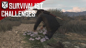 Rdr survivalist challenges