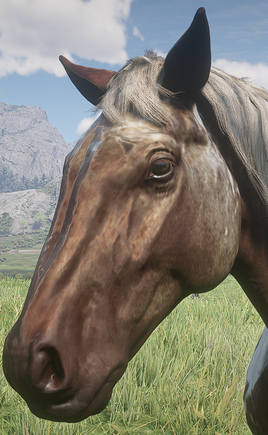 GwydionFace