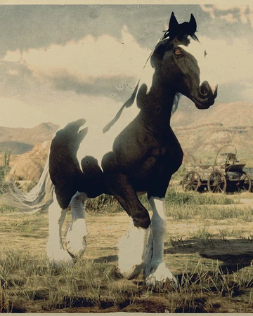 Gypsy Cob Red Dead Wiki Fandom