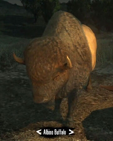 Buffalo | Red Dead Wiki