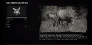 ElkCowProfileRDR2.png (526 kB) Uapití hembra en el compendio del juego.