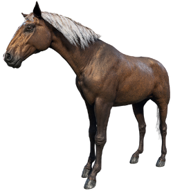 RED DEAD REDEMPTION 2 - Localização Cavalo Kentucky Saddler #jogos #ga