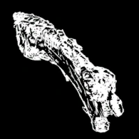 Undead Ribs (25 KB) Undead Rib