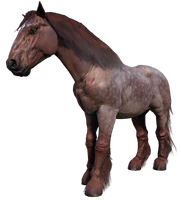 The Strawberry Roan Ardennes