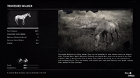 Tennessee Walker profile (Compendium)