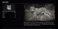 Gray Wolf profile