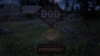 The stop in Strawberry