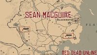 Sean MacGuire | Red Dead Wiki | Fandom