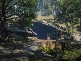 Beaver Hollow