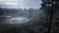 Hail RDR2 Cotorra Springs