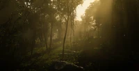 Jungles in Guarma.png (2.92 MB) Jungles in Guarma