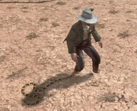 Rattlesnake-nipping-at-heels.jpg (152 KB) A rattlesnake nips at the heels of Heath Michaels.