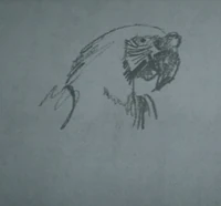 Arthurs drawing of a great green macaw.jpg (22 KB) Szkic ary oliwkowej narysowany przez Arthura