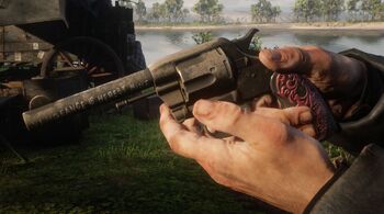 Micah's gun