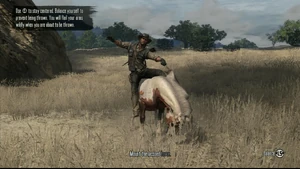 John Marston taming a wild horse.