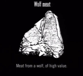 Animals Wolf Meat