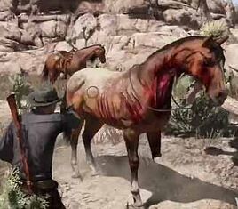 Dead horse2