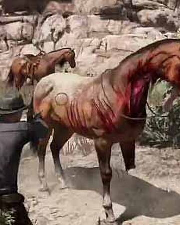 Dead Horse Red Dead Wiki Fandom Dead Horse Red Dead Wiki Fandom