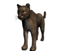 Puma.png