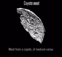 The meat of a coyote