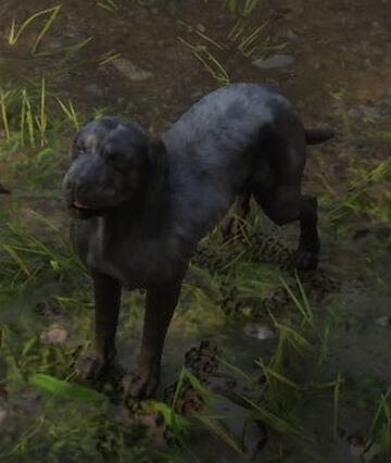 Cão que interpretou Cain em Red Dead Redemption 2 faleceu